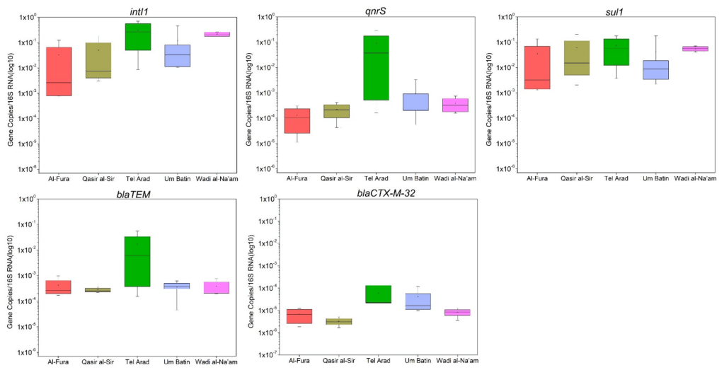 MAGICAL Group awarded an ISF grant